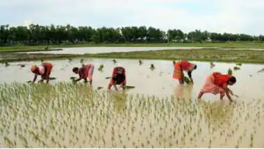 Shimla Symposium: Climate Change, Crop Diseases in Focus