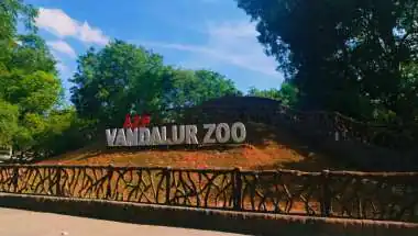 Bird Flu at Chennai’s Vandalur Zoo: H5N1 Confirmed, Entry Shut