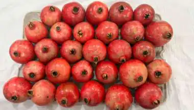 Kullu’s Sinduri Pomegranates Reach Dubai: APEDA-Backed Export