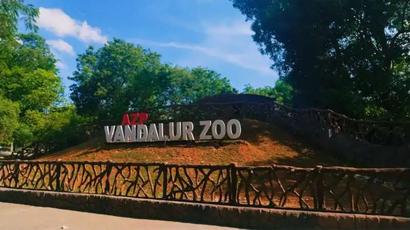 Bird Flu at Chennai’s Vandalur Zoo: H5N1 Confirmed, Entry Shut